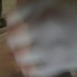 ����� �� ����