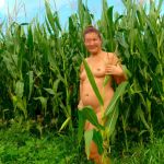 ���� �� �������2