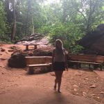 ����� ��������