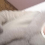 �������� � ��������