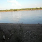 ���������� �� �������