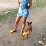 ��� ���������