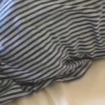 ���� ���� �����