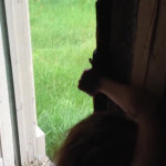 � �����-�� �����