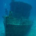 Marinasy