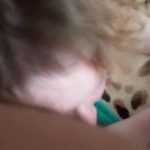 �������� ����. ����� 5