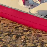 ���� �� ����� �����