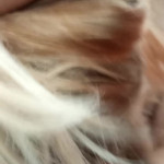 ��������� �����