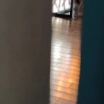 �������� ���������