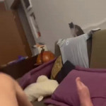 ������� �������� ���� ����