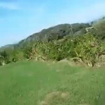 ������� ����������� �������