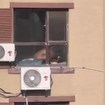 ������������� ���� � ���� � ������� � ���