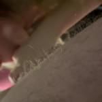 �������� ���� �������� ������ ��� ������ ��� ����