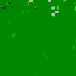 ��� ��� ���� � �������������