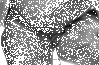 ����������� ����.- II