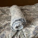 ��������� ���������� �� ������� ����������