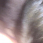 ����� �� ��������� � ������