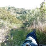 �������� �������