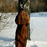 ������ ����