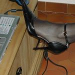 ������ ��������