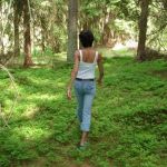 � �������� ����