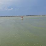 � ����������� ��������