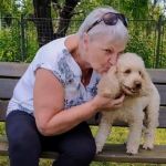 ������ ����� ����