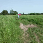 ������ � �������