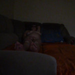 �������� ���� 1