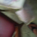 ������� �������