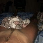 ���� ������ �������