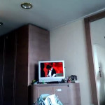 ���� �����