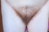 �������� ������� ���� ����