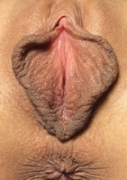 ������ ����� ������� ������