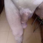 ������� ���� ����