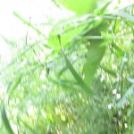 ����������� � �������