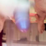 ������ ����������� �� �������