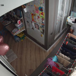 ����� �������� ��������