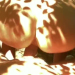 � ���� ������� � �������� ������ ������������ �� ����