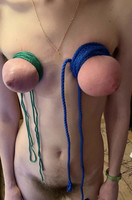 ��������� ���� ���� �������