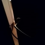 �������� ����...