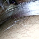 ������ ������ ������ �����