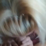 ������ ������ ������ �����