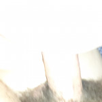 ������ �������� ����