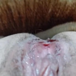 ������ ������ ����� �����������!