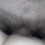 ������ ������� � ���� ������ ����