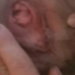 ������ �������� ���������