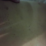 ������� ������� ����� ������ �������