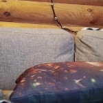 �������� ������� ��������� ���� ����