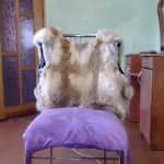 ������ �������� ������������ ��� ������� �����